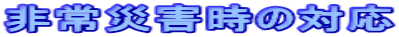 ЊQ̑Ή
